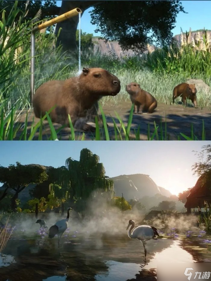《动物园之星》湿地动物包都有什么动物 DLC湿地动物包内容一览