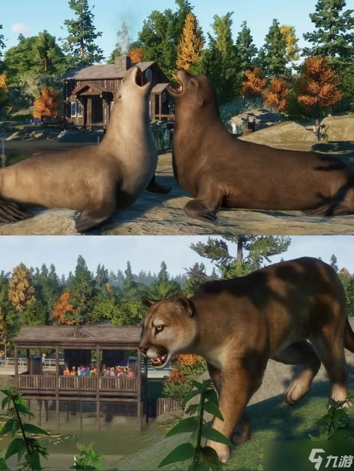 《动物园之星》北美洲动物包都有什么动物 DLC北美洲动物包内容一览