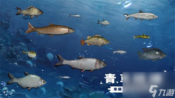 天天釣魚水族館收入提升攻略 水族館魚收入計算方法