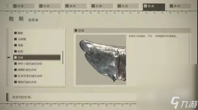 《尼爾：機械紀元》釣魚指南及圖鑒分享