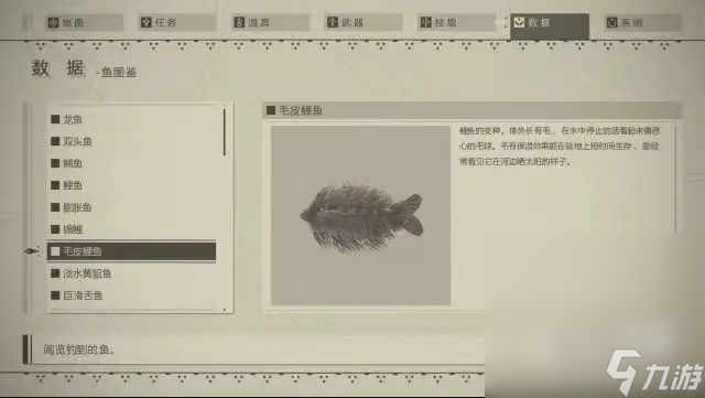 《尼爾：機械紀元》釣魚指南及圖鑒分享