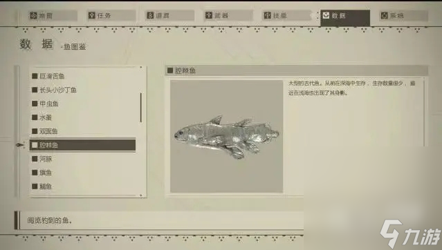 《尼爾：機械紀元》釣魚指南及圖鑒分享