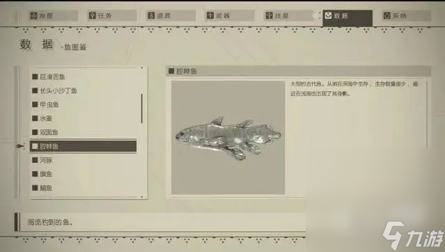 《尼尔：机械纪元》钓鱼指南及图鉴分享
