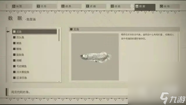《尼爾：機械紀元》釣魚指南及圖鑒分享