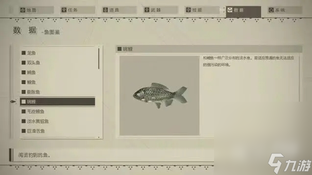 《尼爾：機械紀元》釣魚指南及圖鑒分享