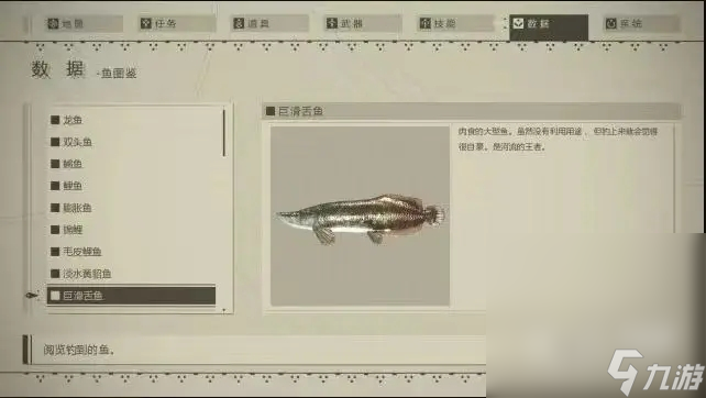 《尼爾：機械紀元》釣魚指南及圖鑒分享