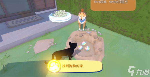 小猫咪大城市狗狗的球在何处