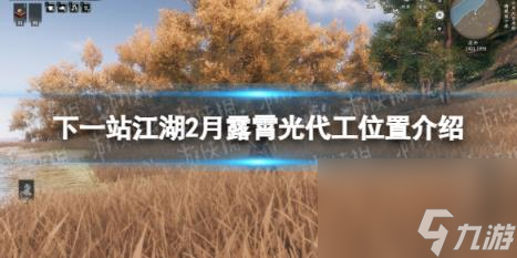 下一站江湖2月露霄光代工位置介绍