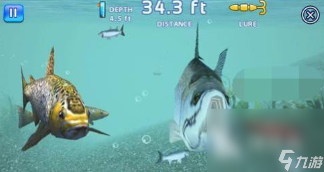 流行的大海钓鱼游戏下载推荐 免费的钓鱼游戏大全2024