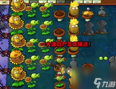 植物大战僵尸杂交版冒险模式第5关攻略