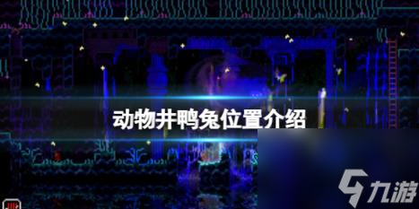 动物井鸭兔位置介绍