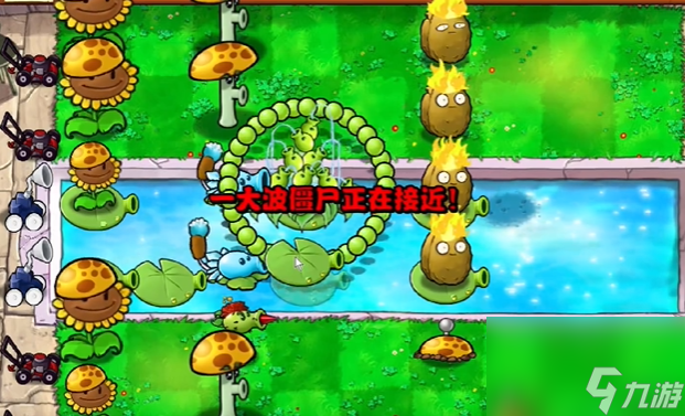 植物大战僵尸杂交版冒险第十三关怎么过