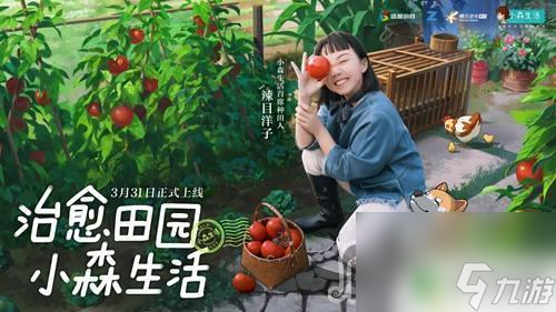 小森生活怎么放猫粮 《小森生活》猫饲料配方推荐