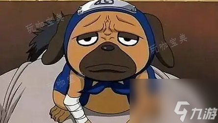 《火影忍者》忍犬灵兽怎么样？