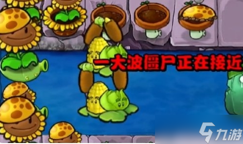 植物大战僵尸杂交版冒险模式第31关通关攻略