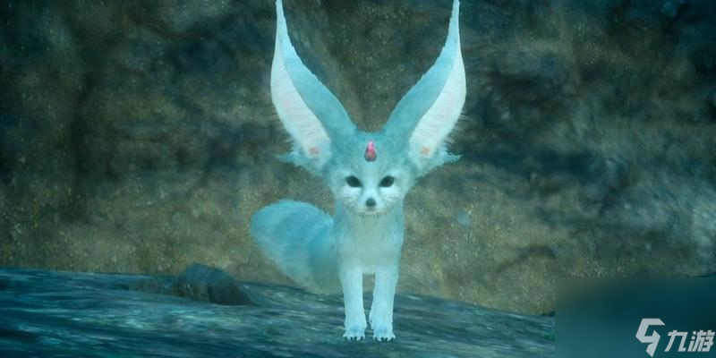 《天下手游》中狐狸的魅力详解 探寻狐狸在游戏中的实力与特点 