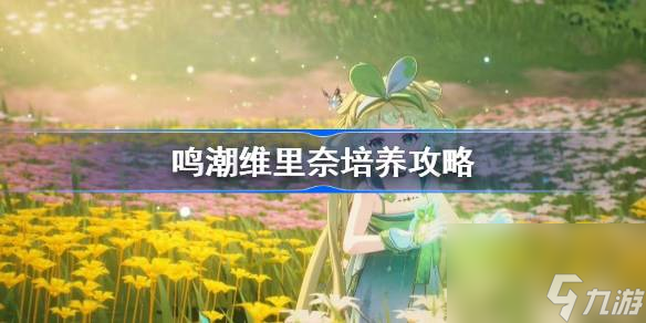 鸣潮维里奈培养攻略