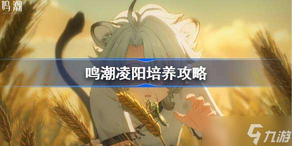 鸣潮凌阳培养攻略 鸣潮凌阳声骸武器阵容推荐