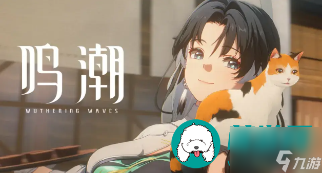 鸣潮公测兑换码2024最新版-鸣潮手游开测礼包兑换码分享