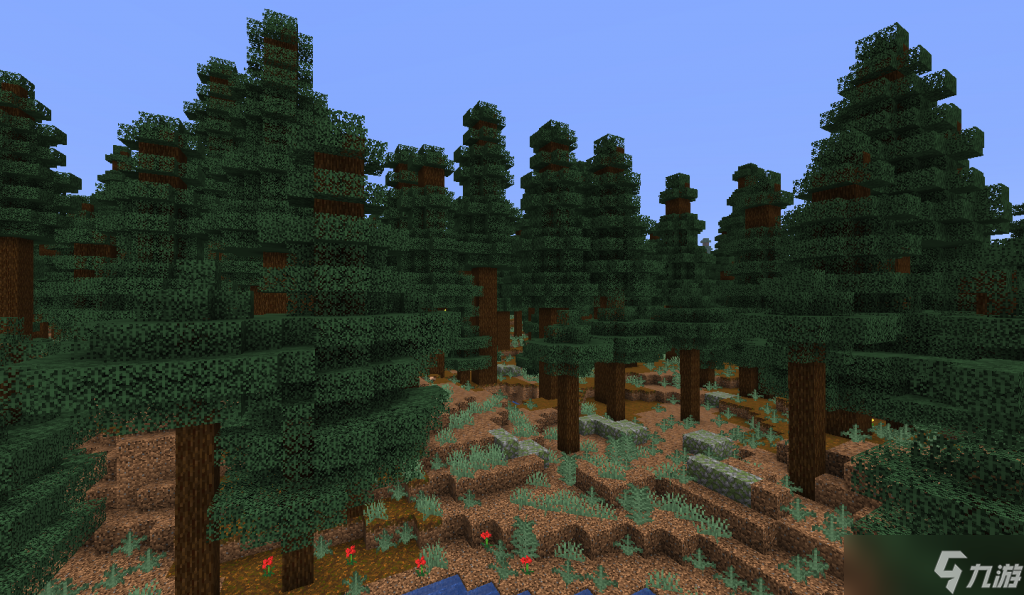 我的世界原始针叶林群系