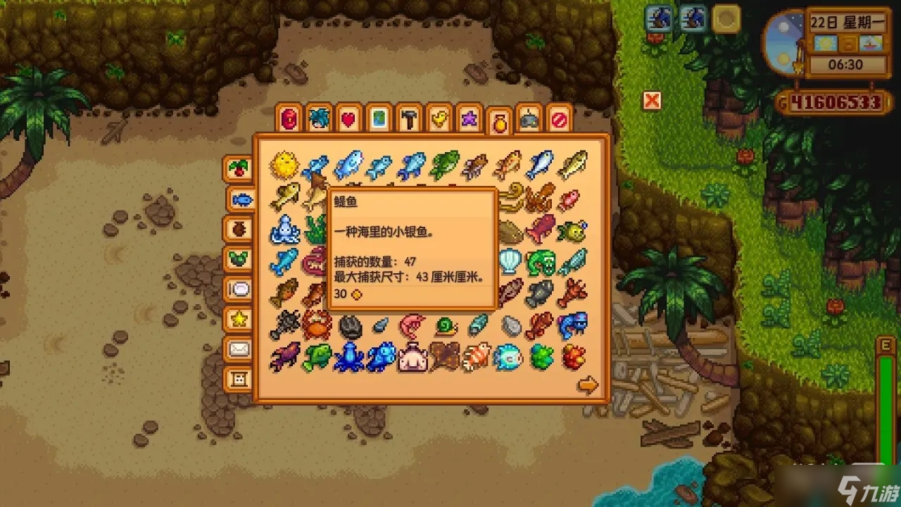 《星露谷物语》河豚/鳀鱼/金枪鱼钓取区域一览