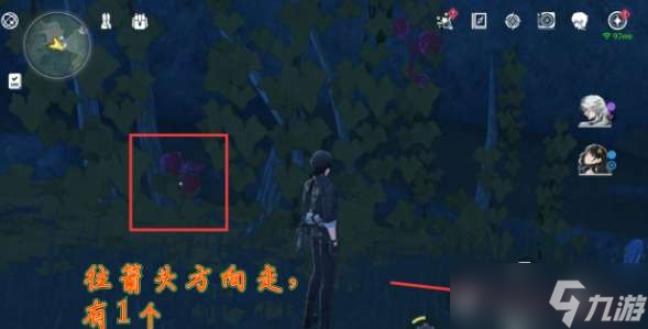 鸣潮灯笼果分布位置