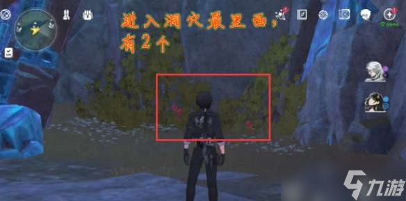 鸣潮灯笼果分布位置