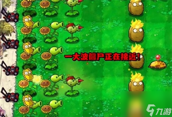 植物大战僵尸杂交版冒险模式第3关怎么过
