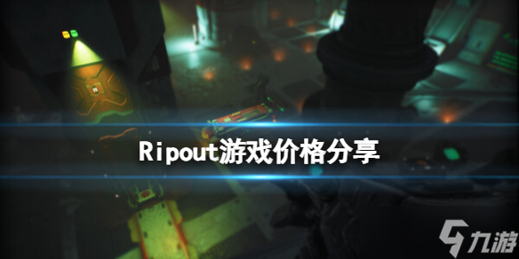 《Ripout》游戲價(jià)格分享