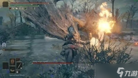 《艾尔登法环》引导之始旁边的龙介绍