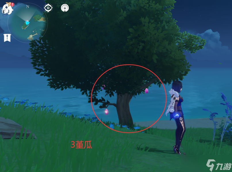 【原神】V4.6攻略 | 堇瓜采集/购买（八酝岛，海祇岛，志村屋）