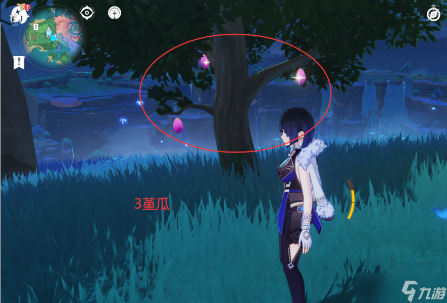 【原神】V4.6攻略 | 堇瓜采集/购买（八酝岛，海祇岛，志村屋）