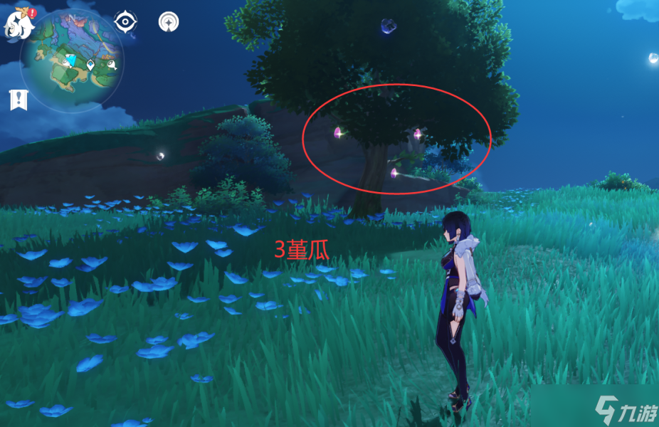 【原神】V4.6攻略 | 堇瓜采集/购买（八酝岛，海祇岛，志村屋）