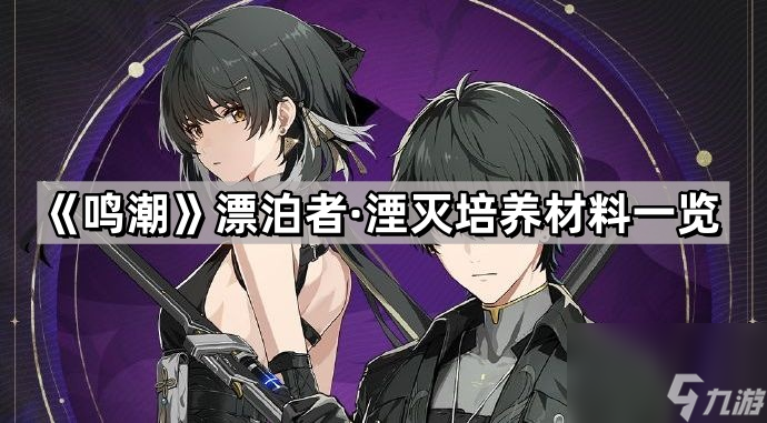 《鸣潮》漂泊者·湮灭培养材料一览