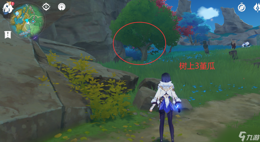 【原神】V4.6攻略 | 堇瓜采集/购买（八酝岛，海祇岛，志村屋）