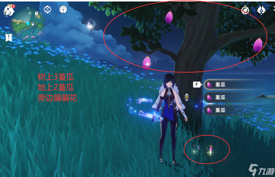 【原神】V4.6攻略 | 堇瓜采集/购买（八酝岛，海祇岛，志村屋）