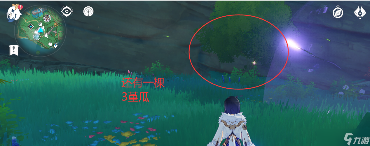 【原神】V4.6攻略 | 堇瓜采集/购买（八酝岛，海祇岛，志村屋）