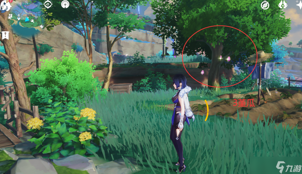 【原神】V4.6攻略 | 堇瓜采集/购买（八酝岛，海祇岛，志村屋）