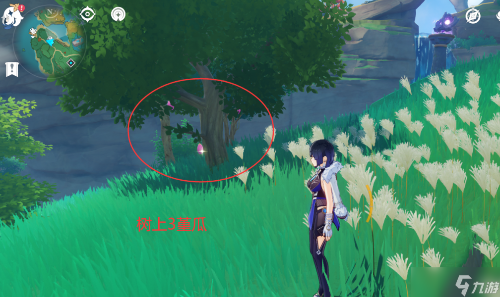 【原神】V4.6攻略 | 堇瓜采集/购买（八酝岛，海祇岛，志村屋）