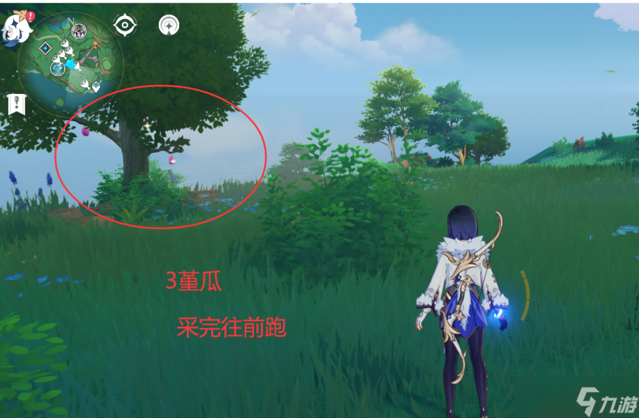 【原神】V4.6攻略 | 堇瓜采集/购买（八酝岛，海祇岛，志村屋）