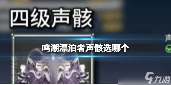 鸣潮漂泊者声骸词条选择推荐