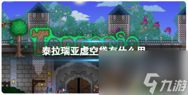 泰拉瑞亚虚空袋有什么用？泰拉瑞亚心动版攻略详情