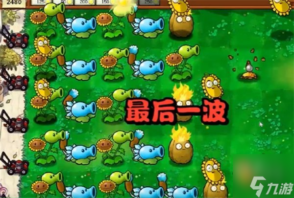 植物大战僵尸杂交版冒险模式第1关怎么过 植物大战僵尸杂交版第1关通关攻略