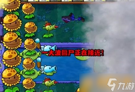 《植物大战僵尸杂交版》冒险20关植物摈弃武艺，严防通关攻略