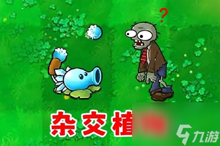 植物大战僵尸杂交版怎么下载截图