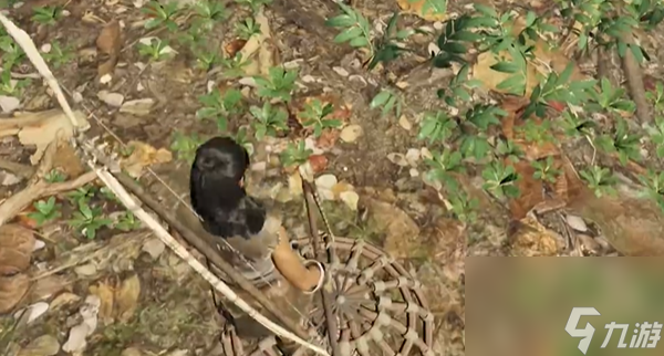 靈魂面甲萌新開(kāi)荒攻略大全