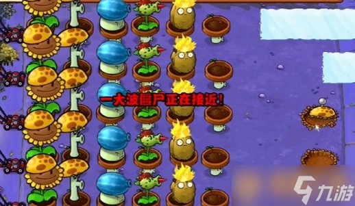 《植物大战僵尸杂交版》冒险10关植物放置方法，详细通关攻略