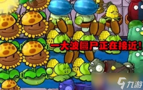 《植物大战僵尸杂交版》冒险31关植物选择，详细布局推荐