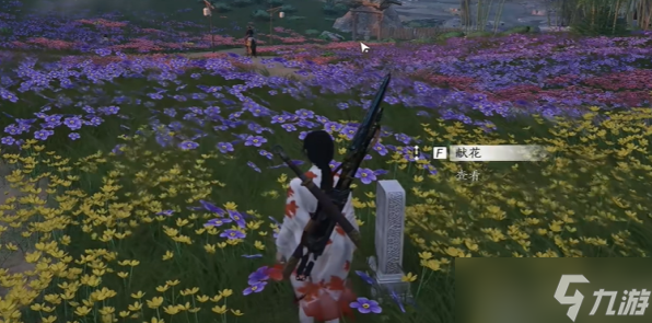 燕云十六声花海无颜奇遇攻略