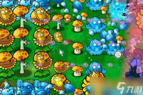 《植物大战僵尸杂交版》冒险55关图文通关技巧分享，植物位置放置推荐